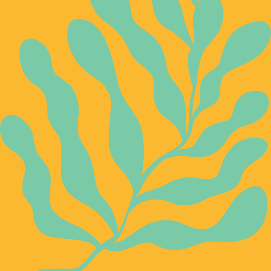 Seaweed Granola Daybreak Seaweed Co seaweed-granola-daybreak-seaweed-co